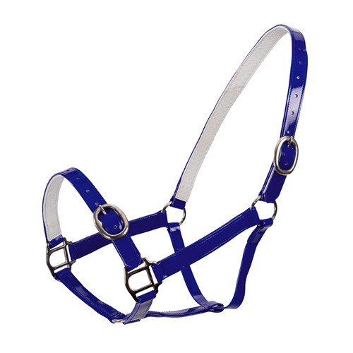 HSN5000F BL